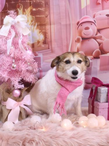 20241230こはるちゃん